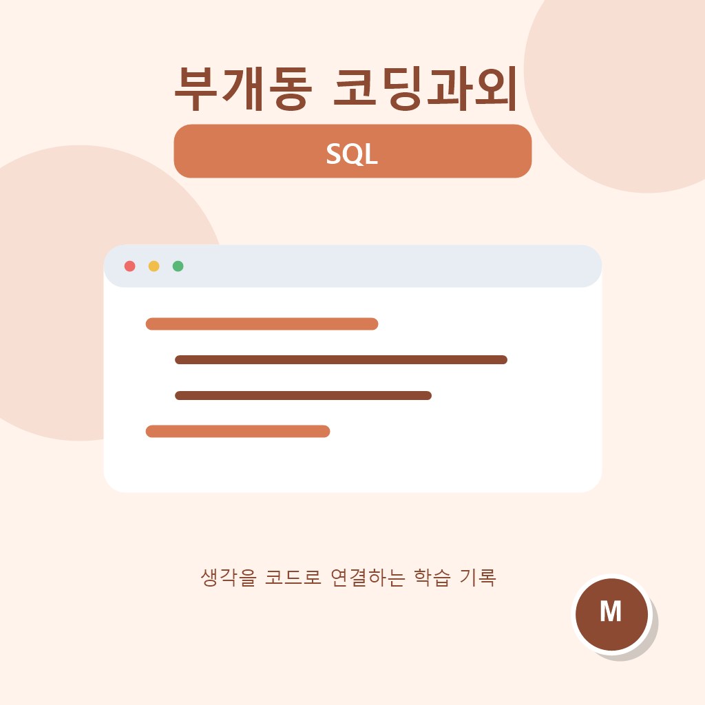 부개동 코딩과외 SQL 대표 이미지