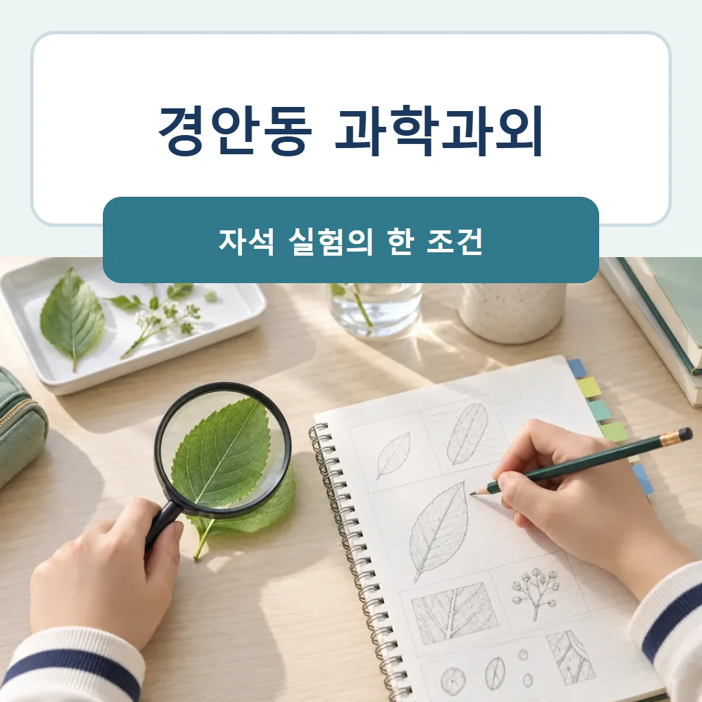 경안동 과학과외 대표 썸네일 · 자석 실험의 한 조건