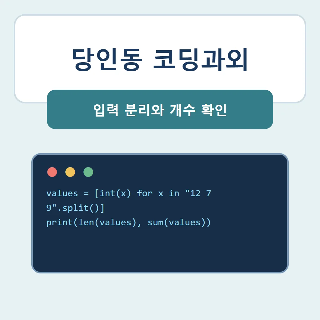 당인동 코딩과외 대표 썸네일 · 입력 분리와 개수 확인