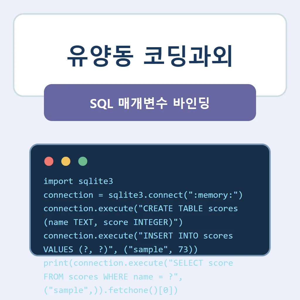 유양동 코딩과외 대표 썸네일 · SQL 매개변수 바인딩